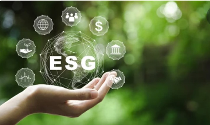 ESG como estratégia para logística e gestão da cadeia de suprimentos